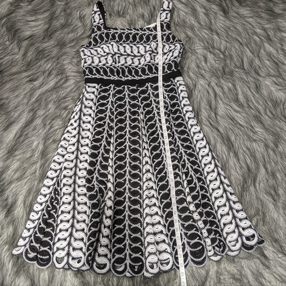 NWT Alex Marie "Penelope" embroidered crochet dress - Picture 10 of 10